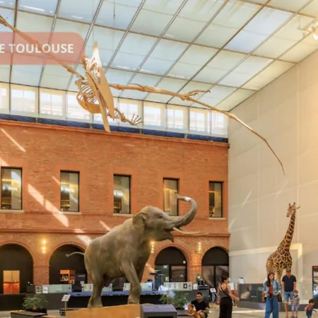 Climatise Centre Toulouse, St Georges, Prox Capitole, Wifi דירה *