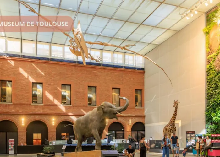 Climatise Centre Toulouse, St Georges, Prox Capitole, Wifi Διαμέρισμα *